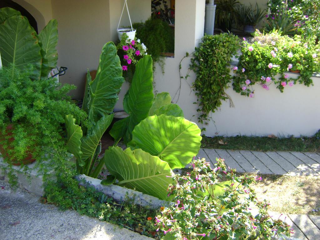 Apartments Radulovic Biograd Na Moru Luaran gambar